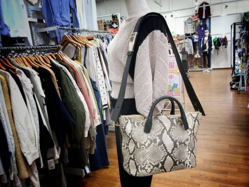 ベイリーのパイソン