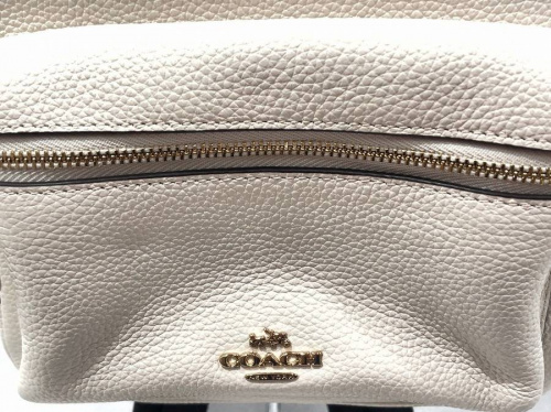 ミニリュックのCOACH