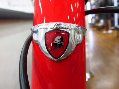 千葉のマウンテンバイク