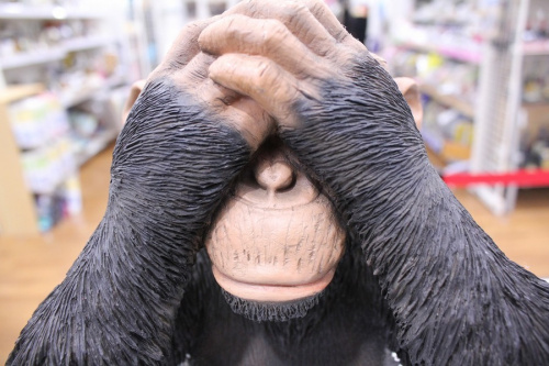 インテリアの置物