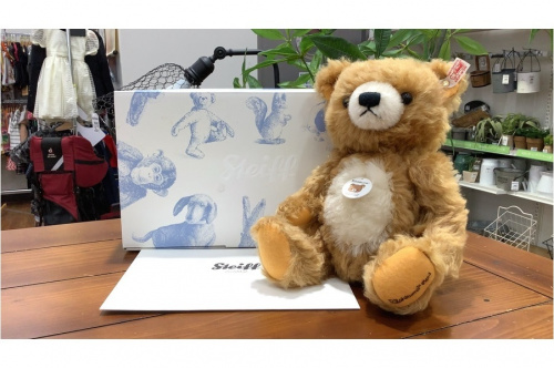 限定品のSteiff