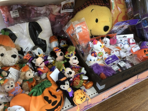 ハロウィンの千葉