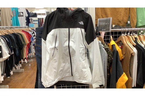 夏物のTHE NORTH FACE