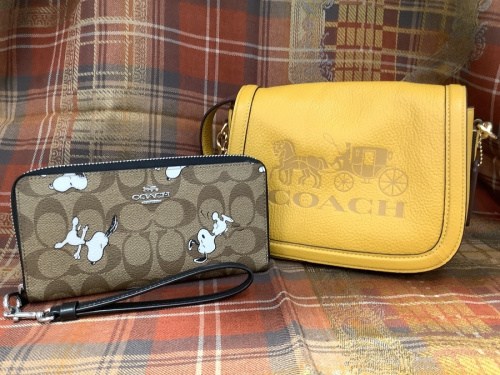 千葉の買取