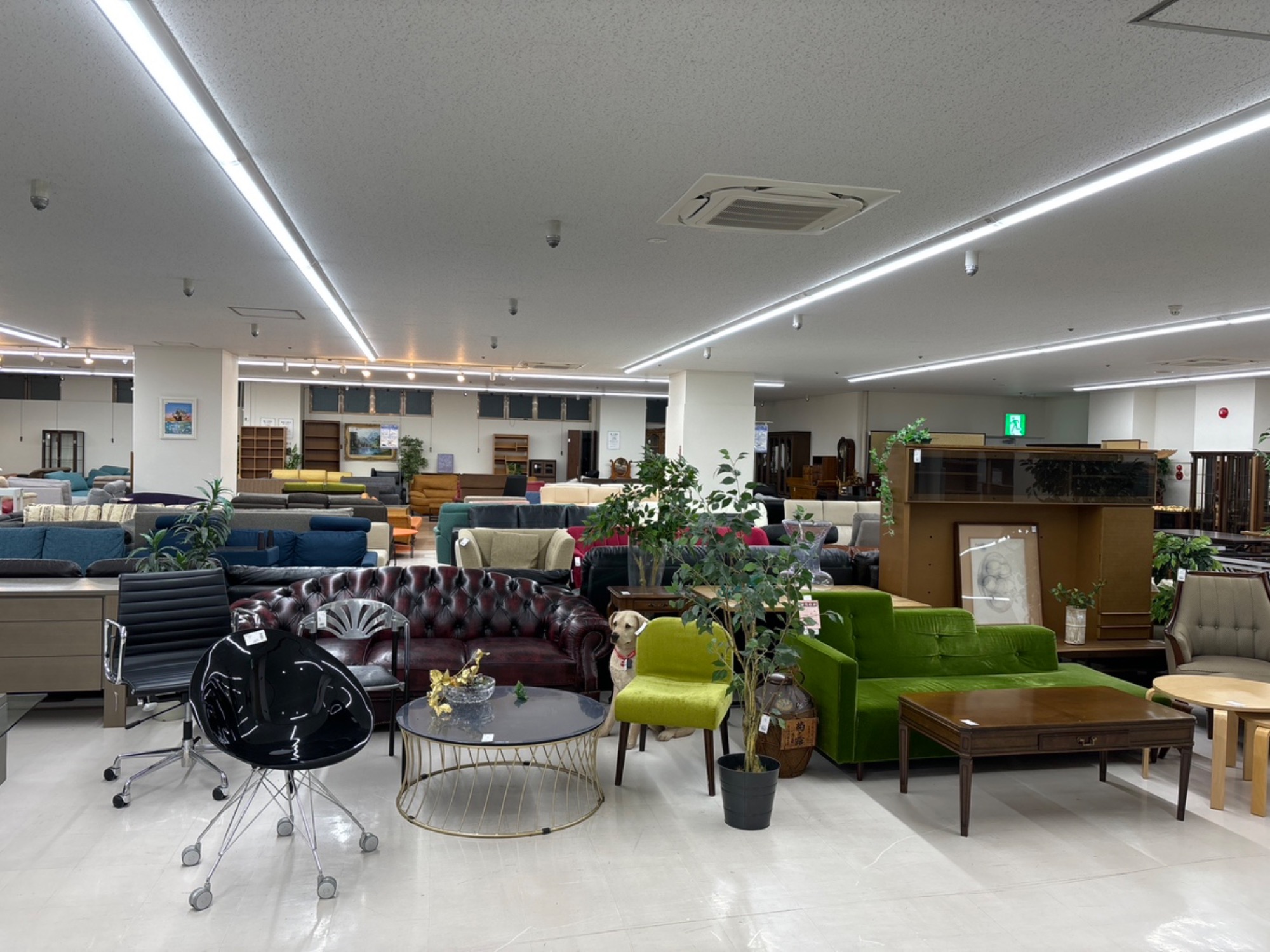 CORONA(コロナ)の石油ストーブを買取入荷しました！動作保証付で安心 