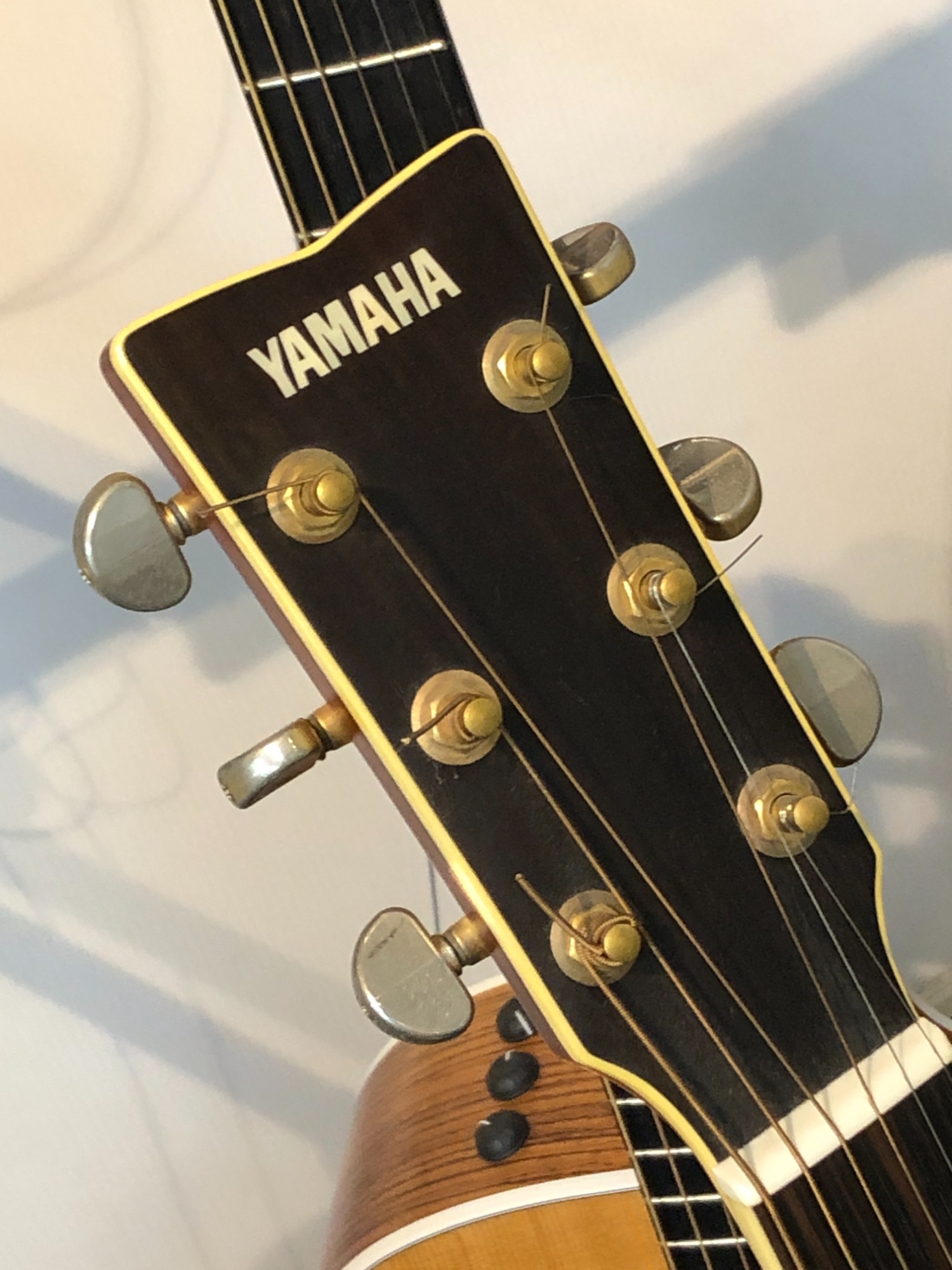 アコースティックギター買取強化中！】YAMAHA(ヤマハ)の