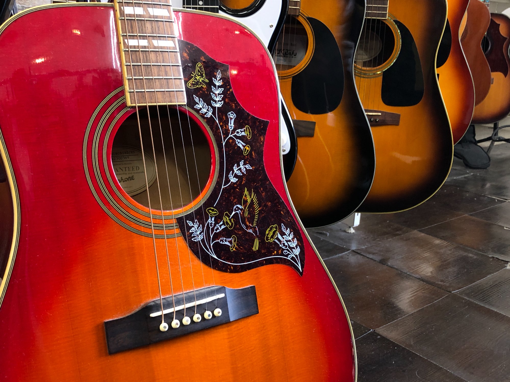 EPIPHONE / エピフォン】HUMMINGBIRD/HS｜存在感あふれる定番アコギの