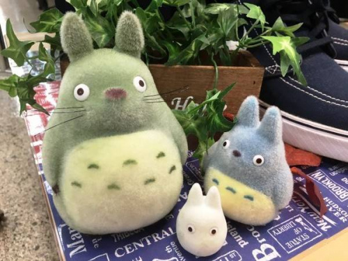 楽器・ホビー雑貨のとなりのトトロ