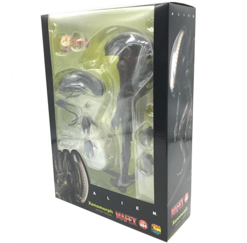 20年11月13日：画像６