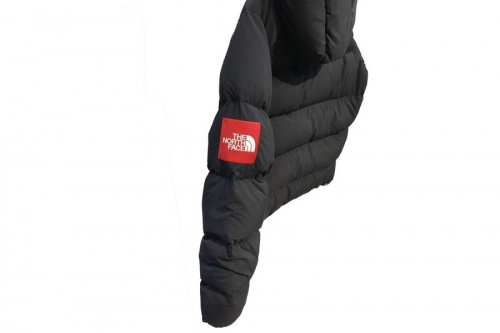 ダウンジャケットのthe north face