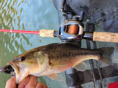 アウトドア用品の釣り具