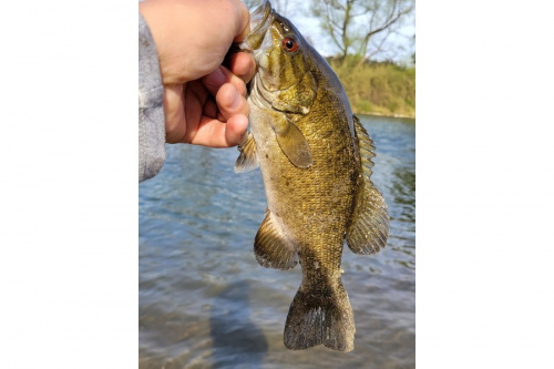 22年05月16日：画像６