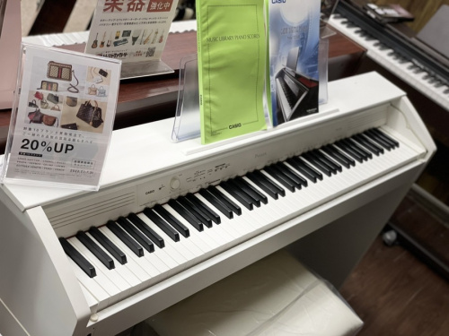 福島のいわき
