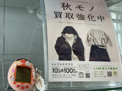 福島のいわき