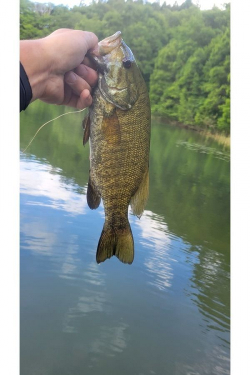 22年08月06日：画像６