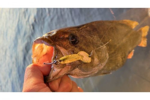 22年08月06日：画像７