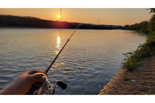 22年08月06日：画像８