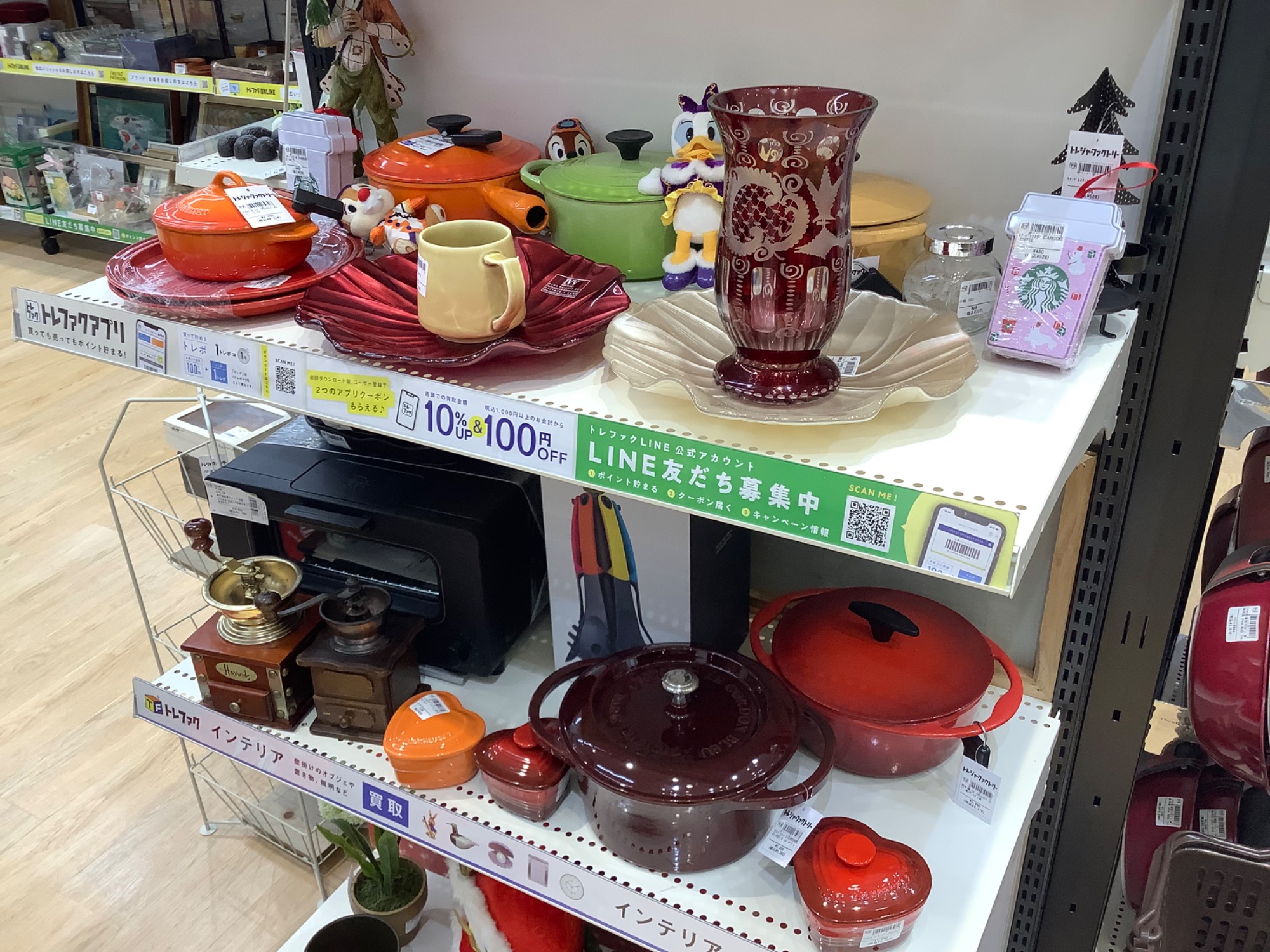 昆虫標本】サソリとツマムラサキマダラが入荷しました！｜2022年11月23