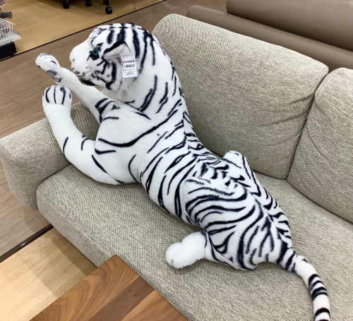 トレファクブログ画像3