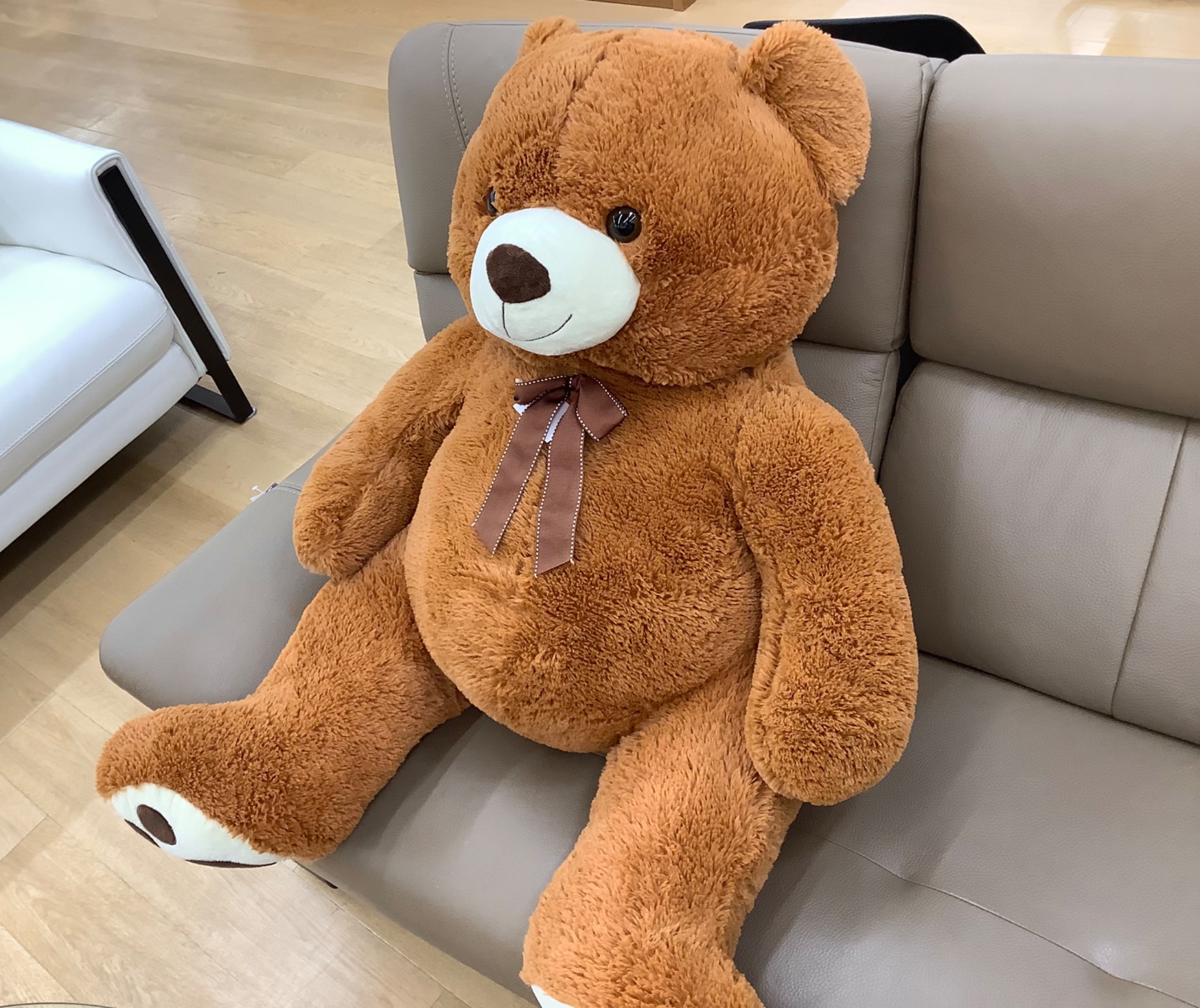 超巨大！くまのぬいぐるみが当店にやってきました！｜2023年06月28日