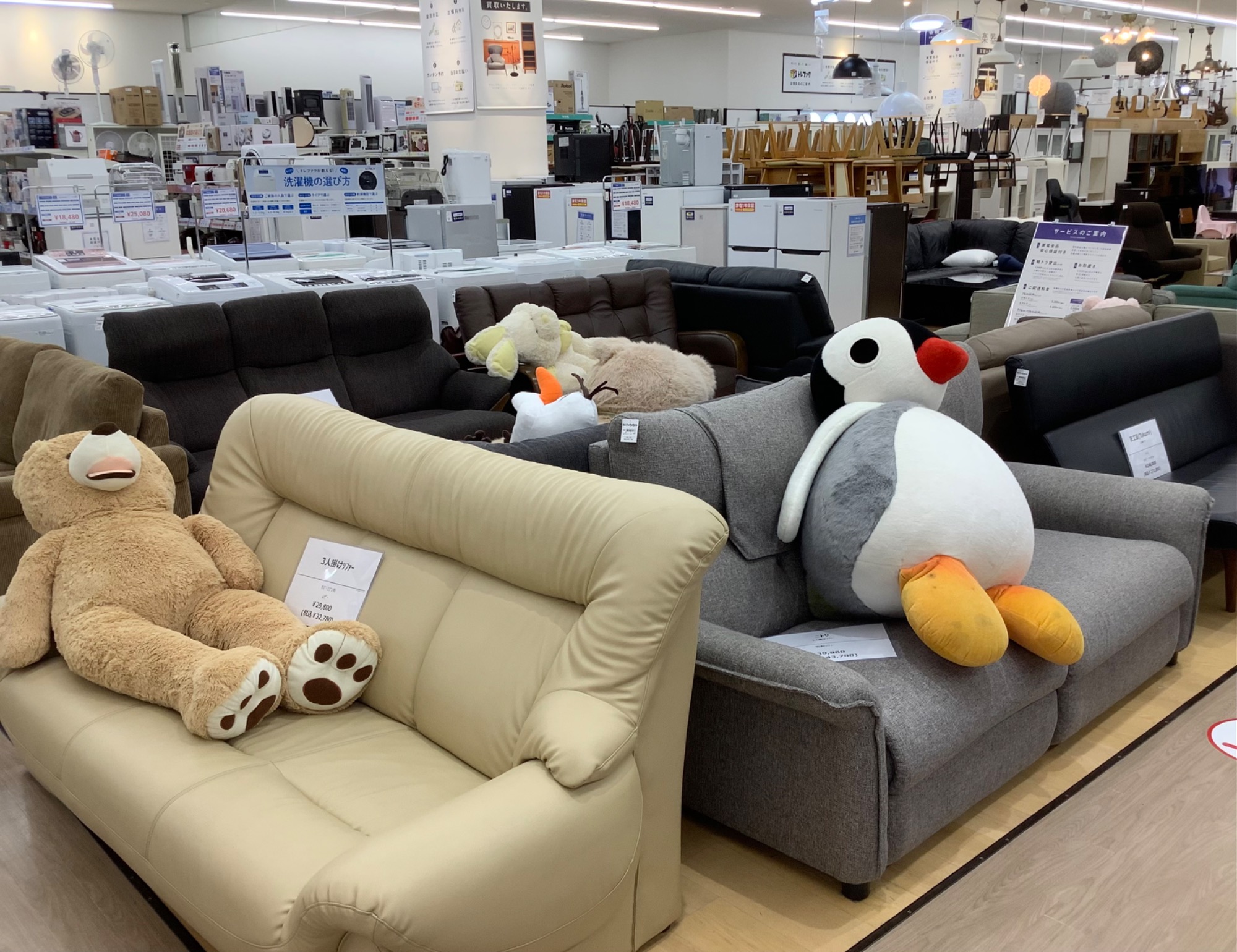 アウトレット品！】B-COMPANYのソファーが入荷しました！｜2023年08月 