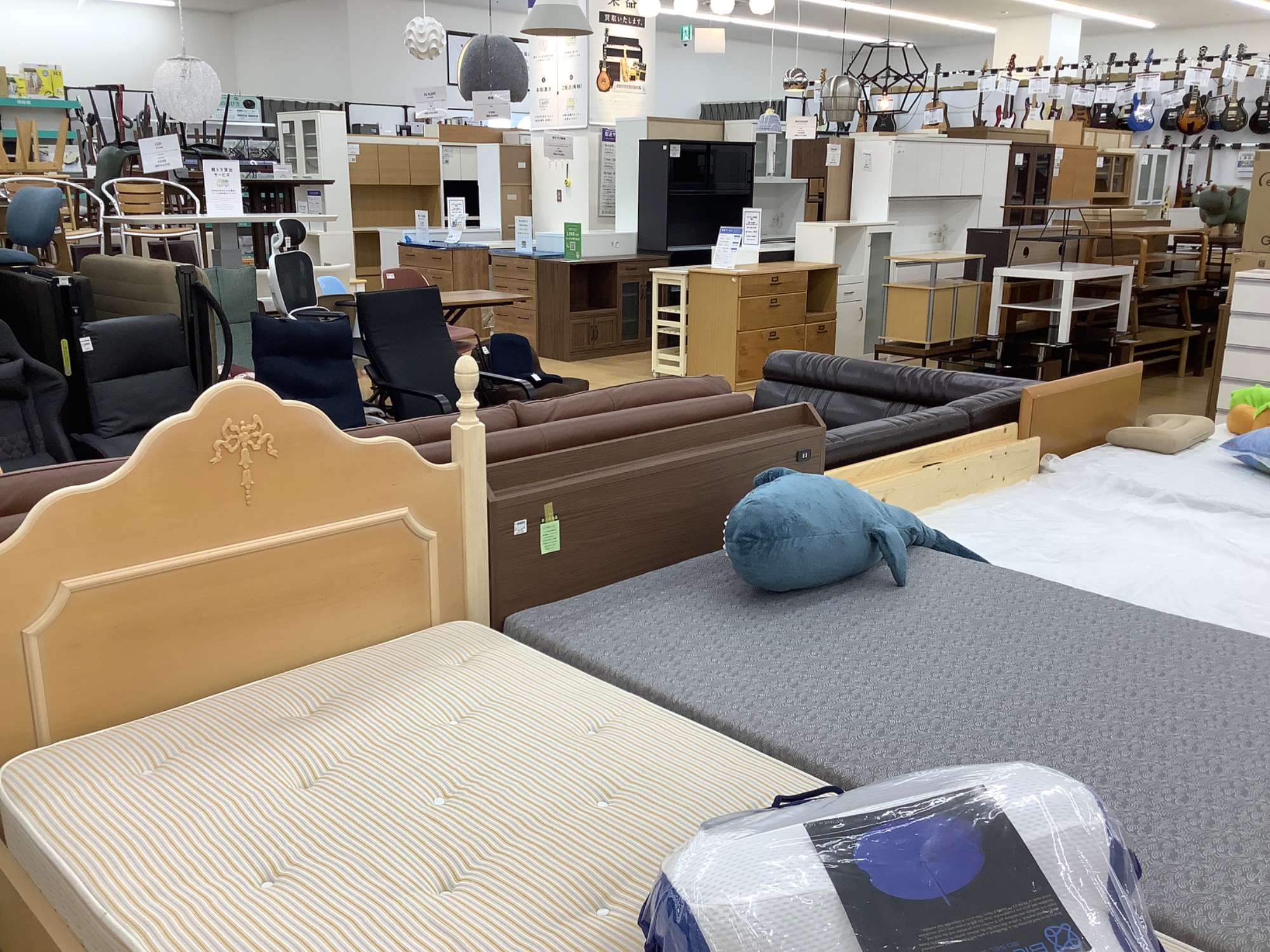 お部屋に癒しを！】2人掛け猫ソファーが入荷しました♪｜2024年05月03 