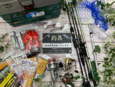 トレファクイオンモール常滑店ブログ