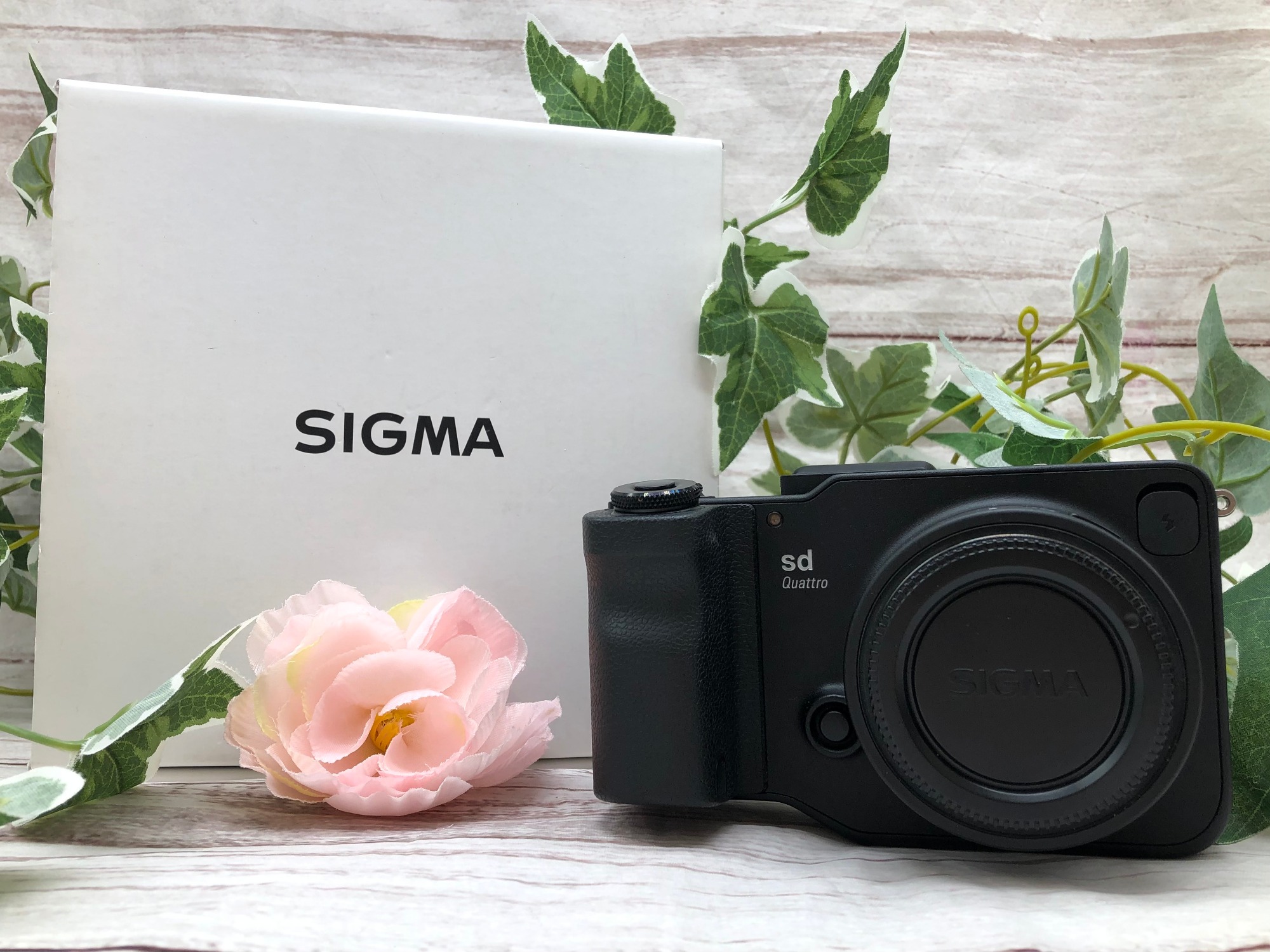 【新品未使用】SIGMA 一眼レフ　レンズ　 テレ&スタンダード ズームセット SIGMA/シグマ】ミラーレス一眼カメラ 