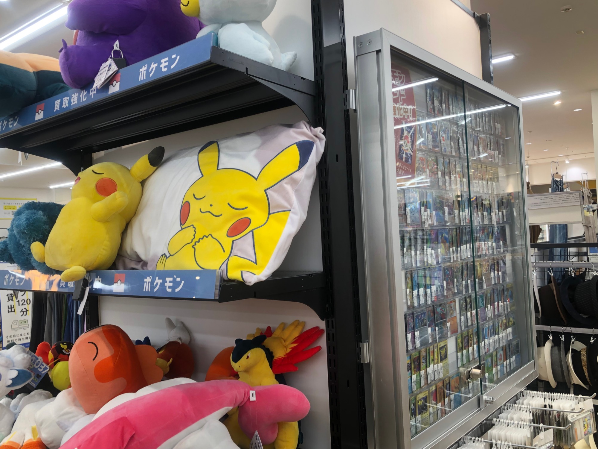 SP GL G C FB 四 トレーナー ポケモン のみ 100枚 SP03 楽天市場】ポケットモンスター ポケモン トレーナー 起毛 キッズ