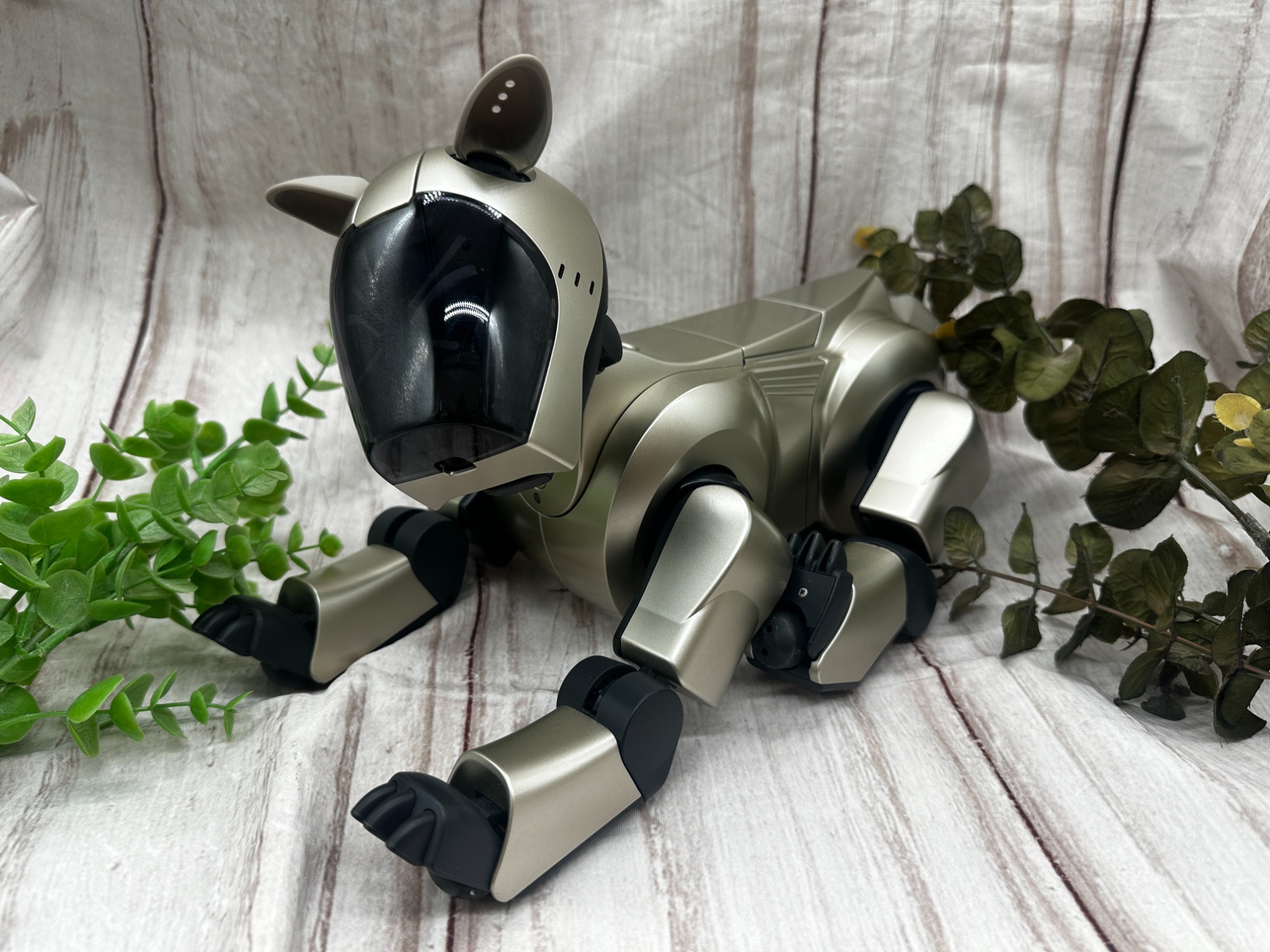 完全可動品 AIBO ERS-210 マゼラングリーン ERS-210 Aibo Overview | Learn About Aibo | Virtual Paws