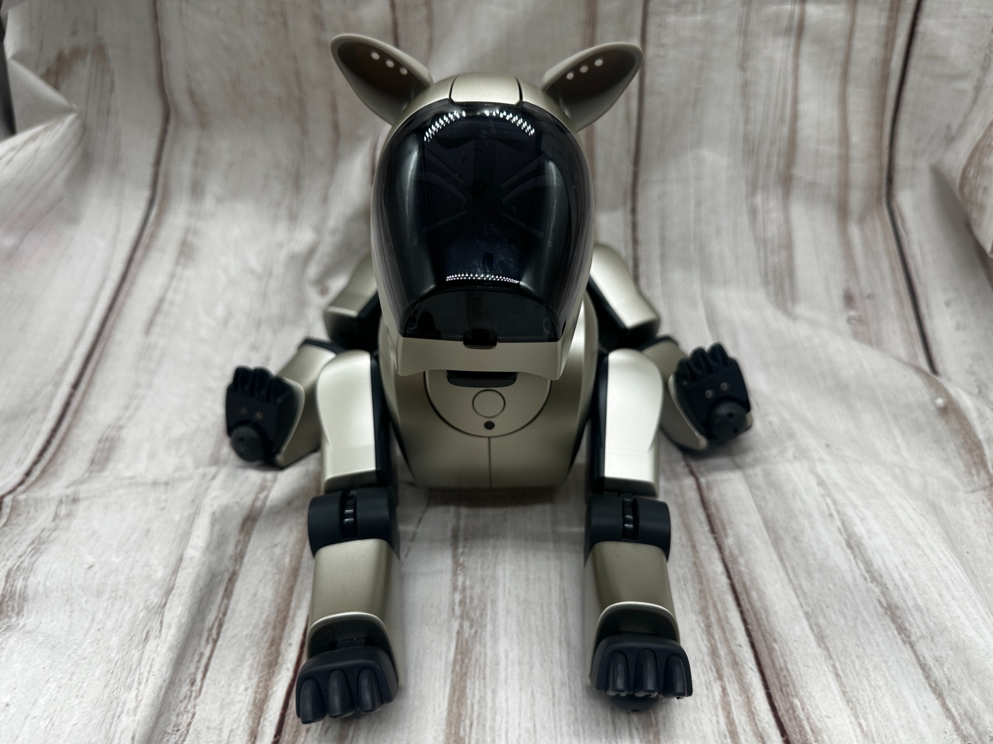 ひろ【ジャンク】アイボ　ERS-210 第二世代 ジャンク品] アイボ 第2世代 ジャンク】aibo アイボ 第二世代