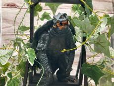 トレファクイオンモール常滑店ブログ