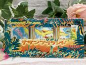 トレファクイオンモール常滑店ブログ