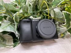 トレファクイオンモール常滑店ブログ