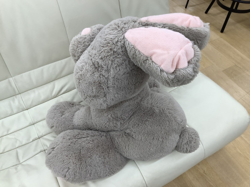 イオンモール常滑
