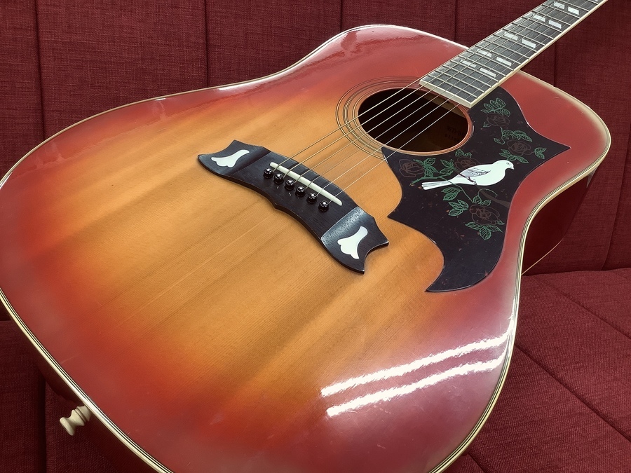 MORRIS/モーリス】80年代ダヴモデル！激渋ギター入荷！【八尾店