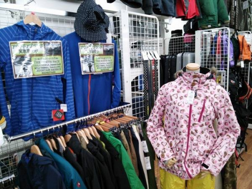 ファッションのノースフェイス（THE NORTH FACE）