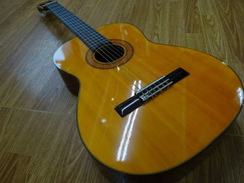 楽器・ホビー雑貨のギター