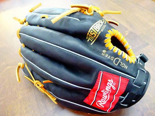 アウトドアのRawlings