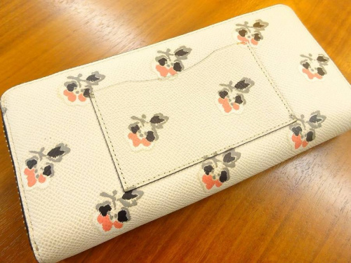 17年02月20日：画像６