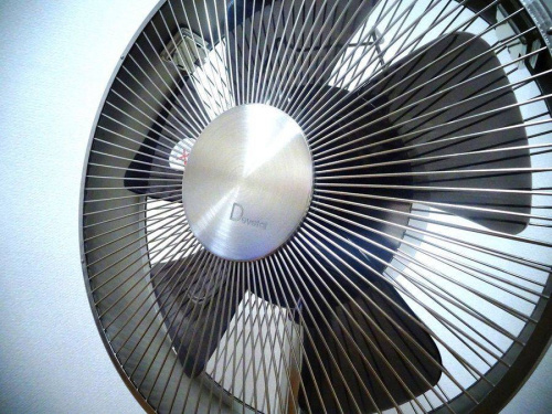 大阪八尾店家電