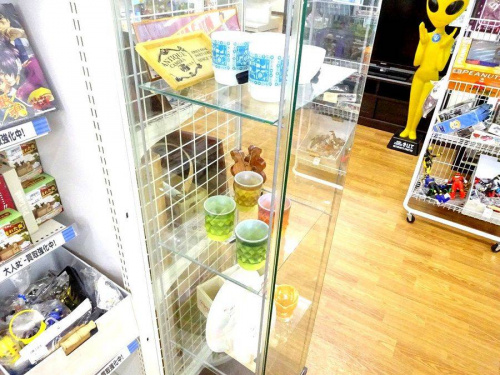 関西の大阪八尾店家具