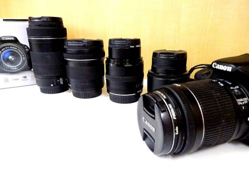 関西の大阪八尾店