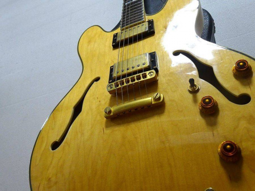 ¥®¥¿¡¼¤ÎEpiphone