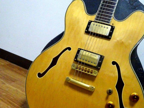 Epiphone¤Î´ØÀ¾