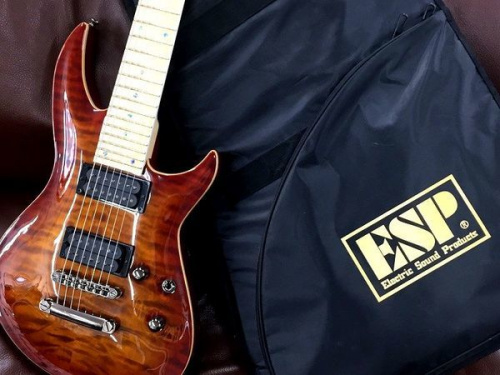ギターのEDWARDS