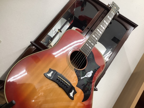 MORRIS/モーリス】80年代ダヴモデル！激渋ギター入荷！【八尾店
