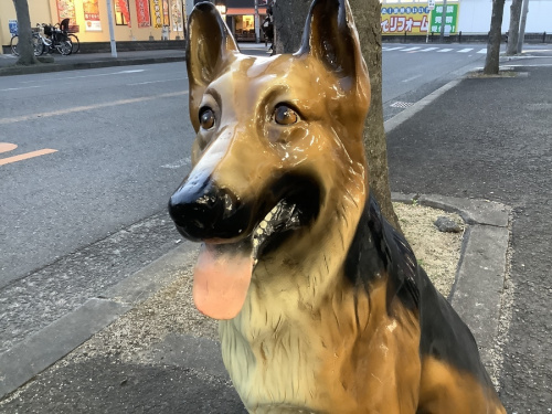 インテリア　八尾　買取の雑貨　中古　八尾