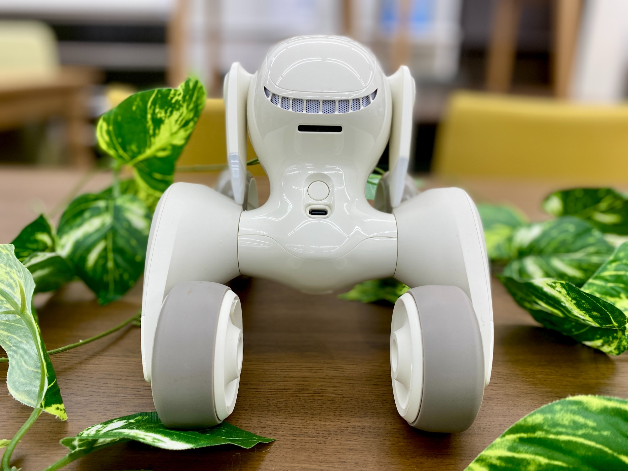 【お値下げしました】Loona ルーナ　ペットロボット　充電ステーション付き Loona(ルーナ)ペットロボットが買取入荷いたしました！｜2024年08月02