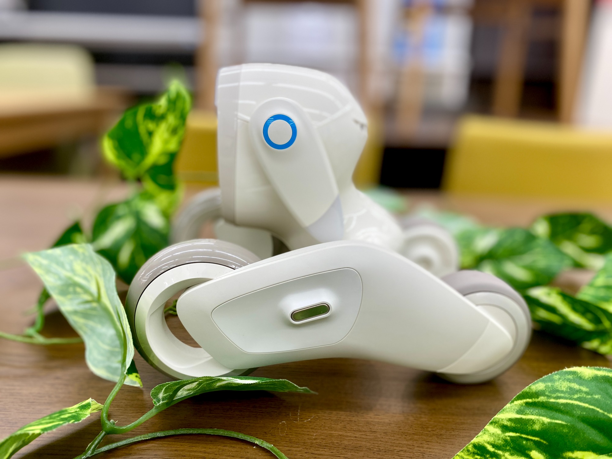 Loona(ルーナ)ペットロボットが買取入荷いたしました！｜2024年08月02